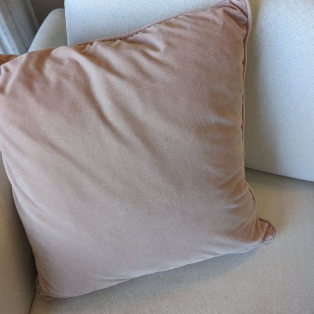 Blush Pink Pillow Covers (2)